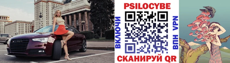Псилоцибиновые грибы мицелий  где можно купить наркотик  Буй 